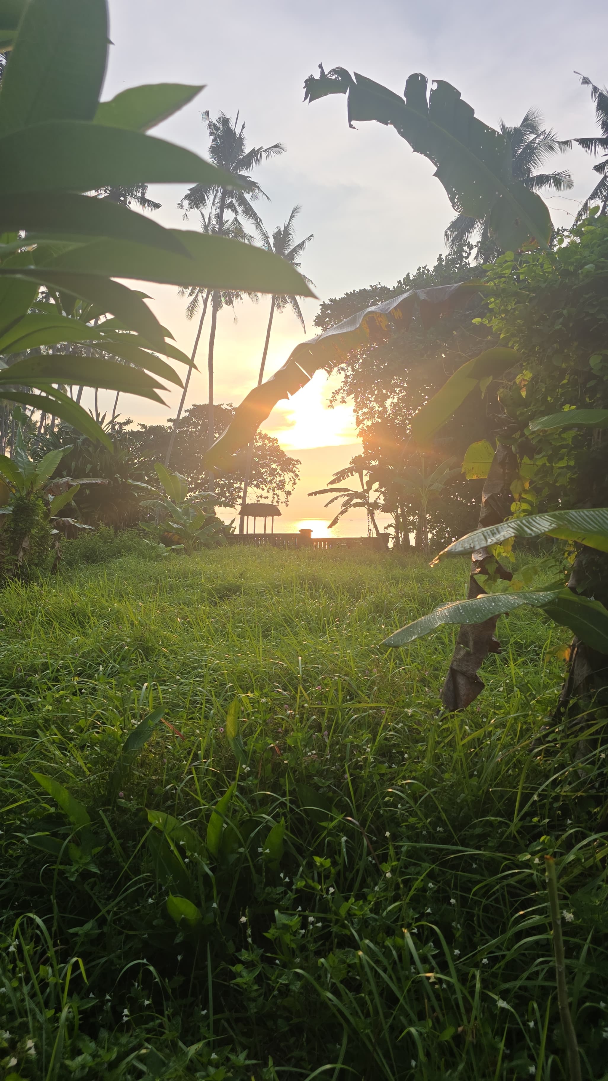 Agung Hotel Banner 2